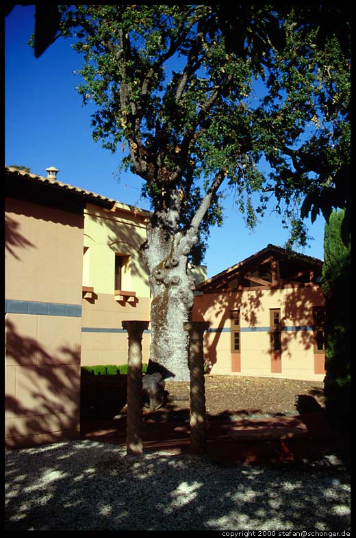 Winery. Napa Valley, CA, Aug 2000